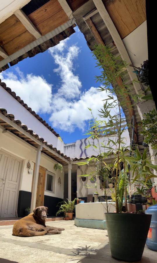 Hostal Posada Mi Casa San Cristobal de las Casas Exterior photo